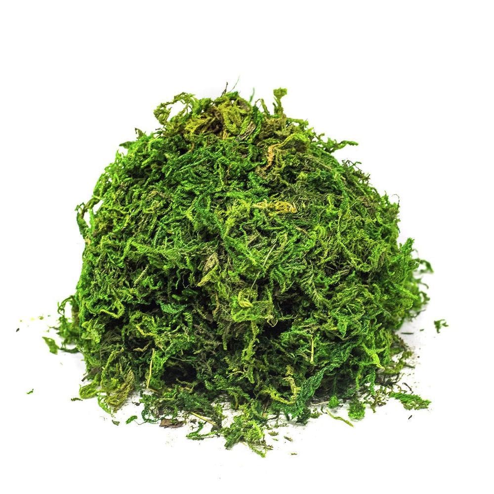 Musgo Artificial para Arranjos e Jardins 2 Litro - 8015/3082
