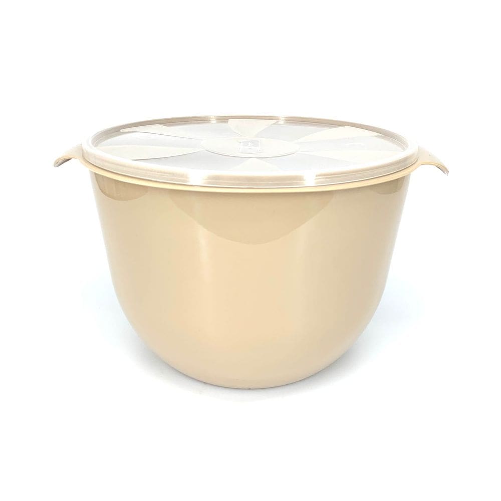 Bacia com Tampa Inplast 9L - Tam. G