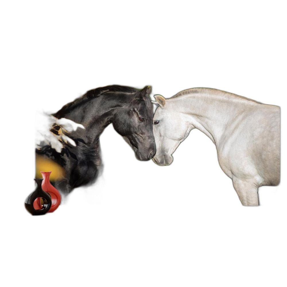 Papel De Parede Animais Casal Cavalos Fazenda 3,5M Anm306