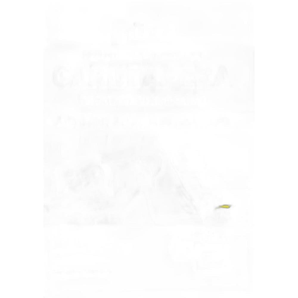 Apostila Prefeitura Carutapera Ma - Agente Administrativo