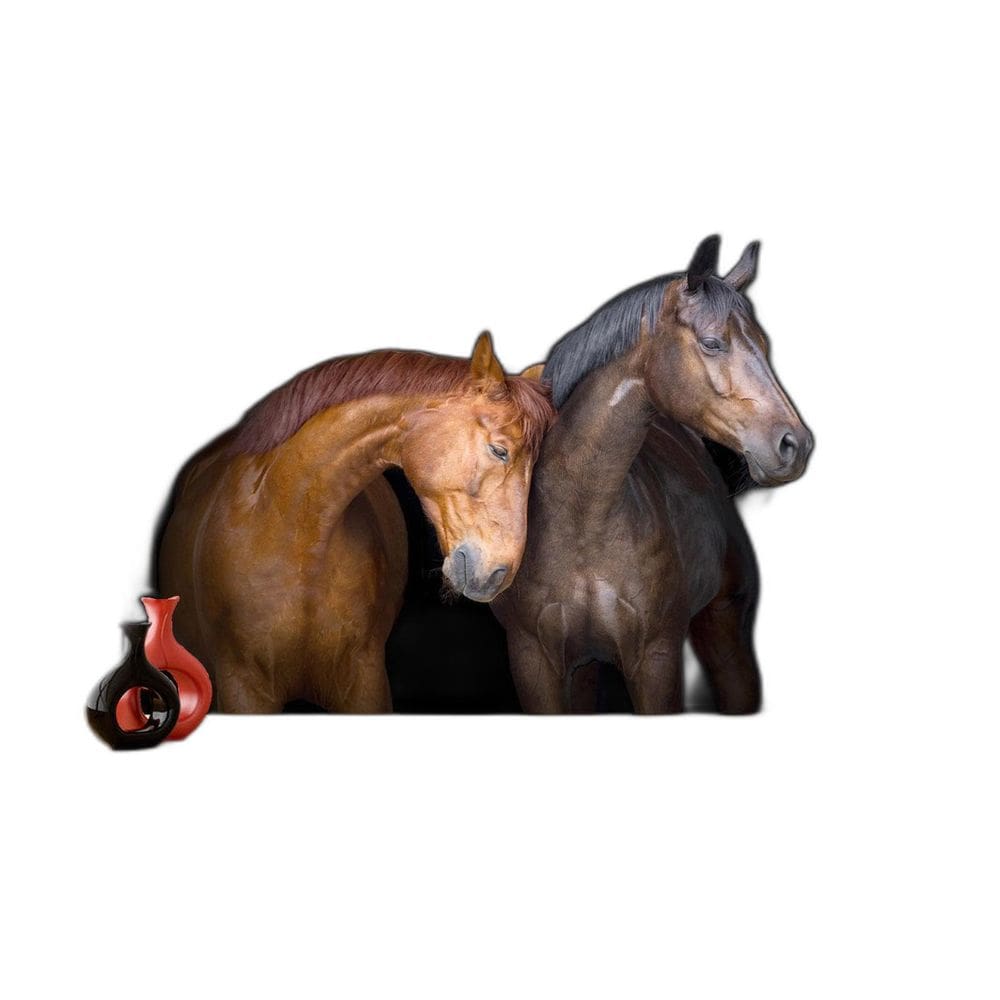 Papel De Parede Animais Casal Cavalos Fazenda 3,5M Anm321