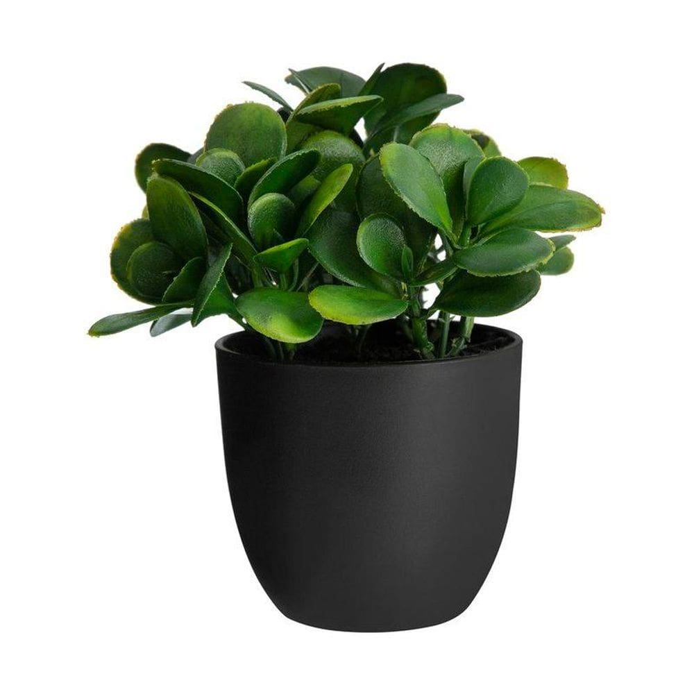 Planta Artificial Home Style Bergmid