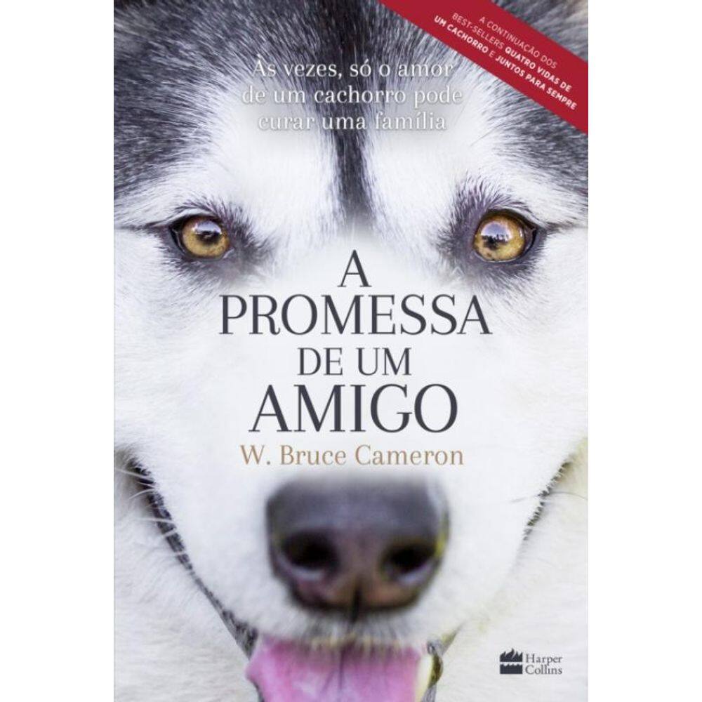 Livro A Promessa De Um Amigo