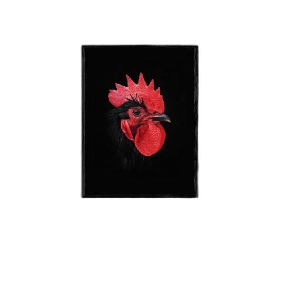 Quadro Fotografia Galo 45X34Cm - Com Vidro Moldura Preta
