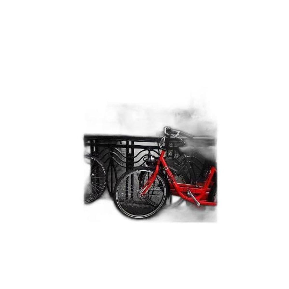 Placa Decorativa Fotografia Bicicleta 18X27Cm