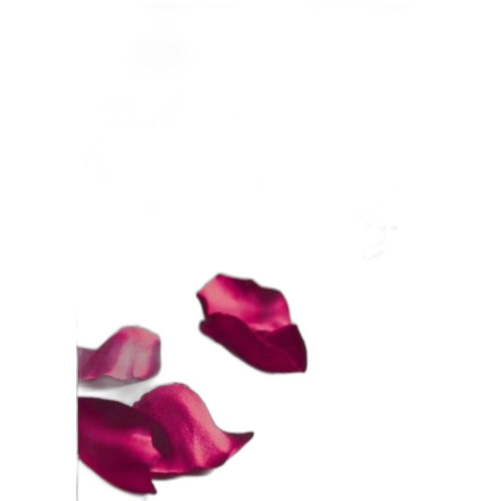 Livro Conselhos Amorosos De Emily Bronte