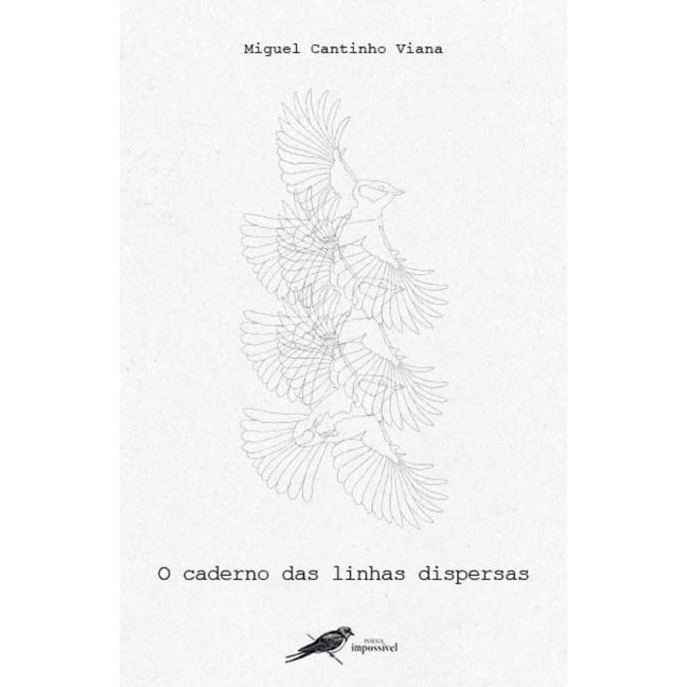 O caderno das linhas dispersas