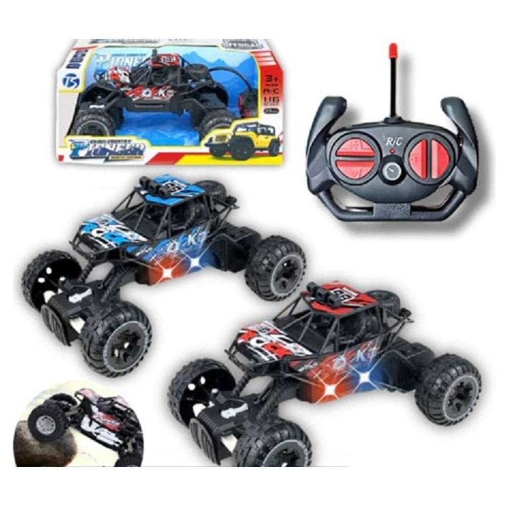 Carrinho Controle Remoto Rally 4x4 Off Road Resistente Luz Velocidade