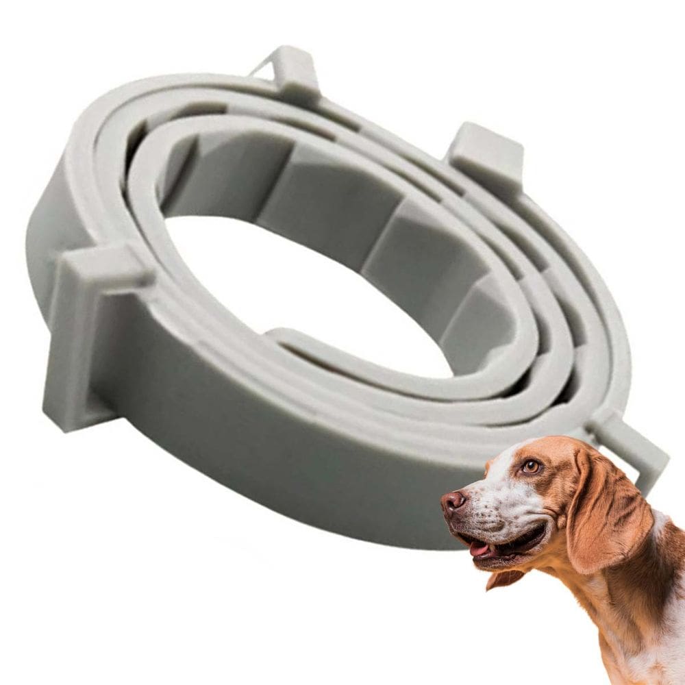 Coleira Anti Pulga Kit 4 Uni. Carrapato Cachorro Gato Cao Pet Leishmaniose Felino Canino Proteçao Tamanho Ajustavel Resistente Eficaz