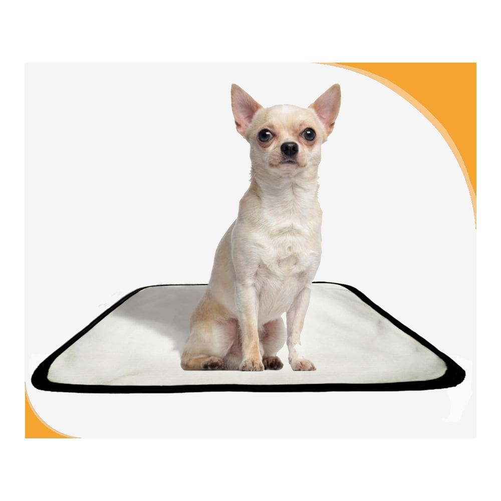 Tapete Para Pets Lavável Canino Prático 1 Un P 50X60Cm
