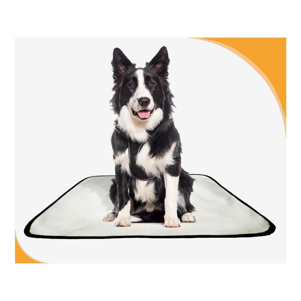 Tapete Para Cães Higiênico Ecológico 4 Un M1 70X100 Cm