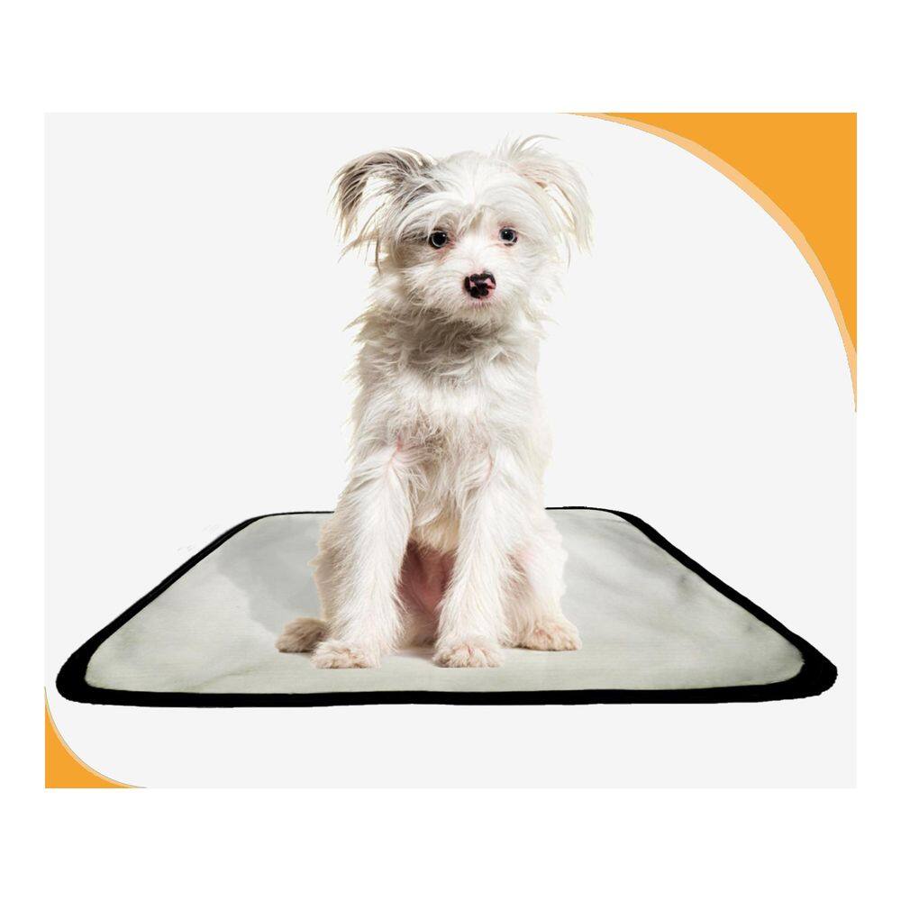 Banheiro Canino Móvel Reutilizável Pet 4Un P 50X60 Cm