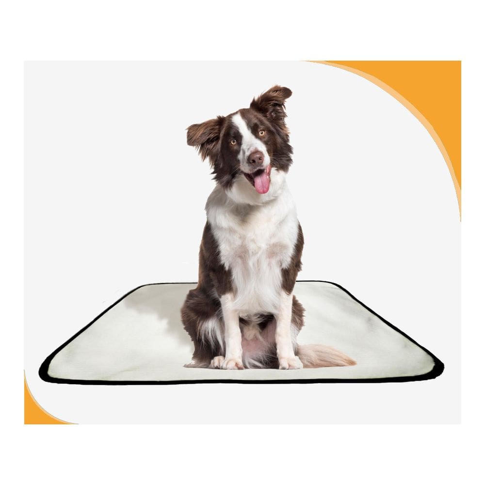 Tapete Pet Higiênico Prático Estratégico 1 Un M 60X80 Cm