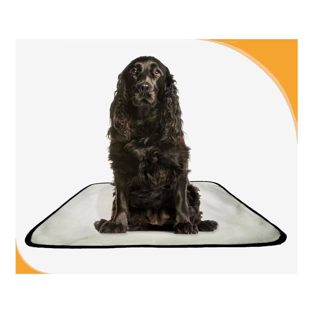 Tapete Dog Higiênico Lavável Absorvente 1 Un M - 60X80 Cm