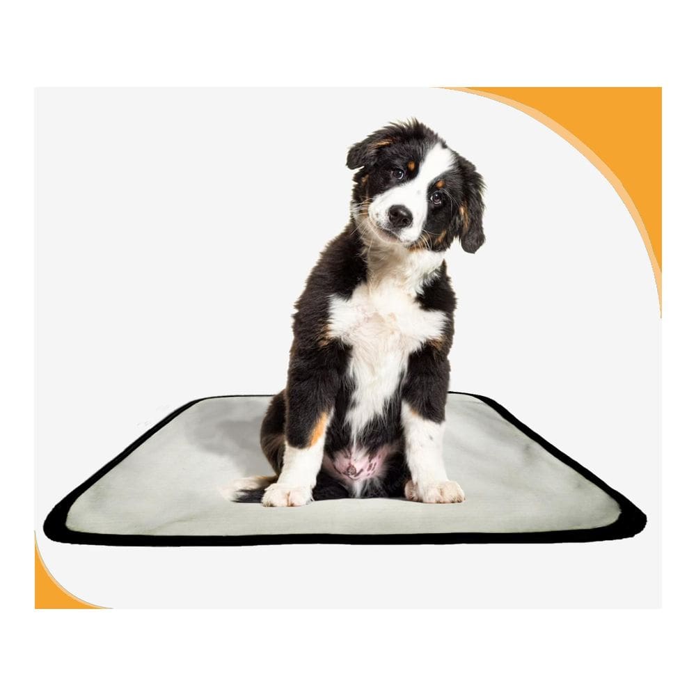 Tapete Para Cães Fazerem Xixi Educar Pet 10 Un P 50X60 Cm