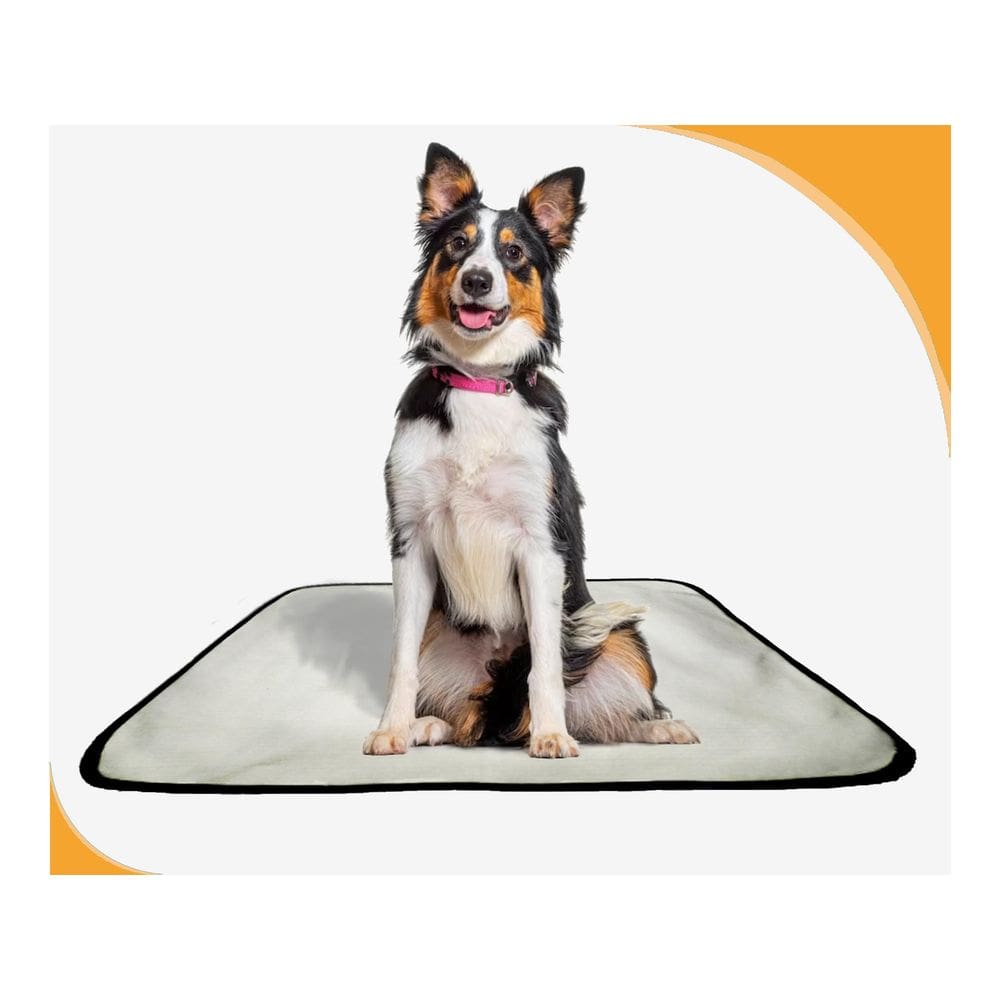 Tapete Para Cães Fazerem Xixi Educar Pet 5 Un M 60X80 Cm
