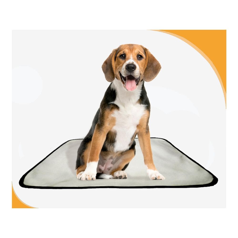 Tapete Higiênico Canino Absorvente Pet 2 Un M - 60 X 80 Cm