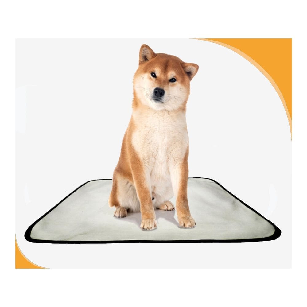 Tapete Higiênico Para Cães, Pet, Lavável, 10 Un M - 60X80 Cm