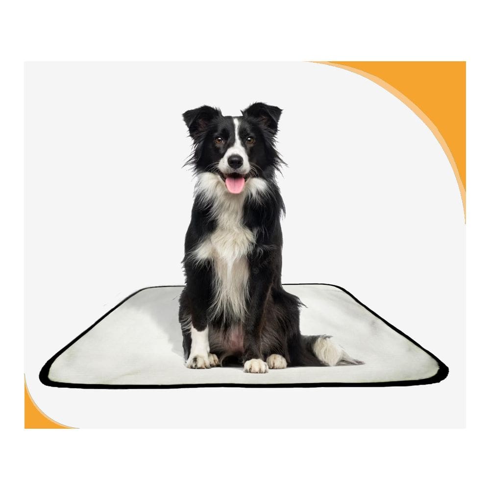 Tapete Para Cães Higiênico Ecológico 3 Un M 60X80 Cm