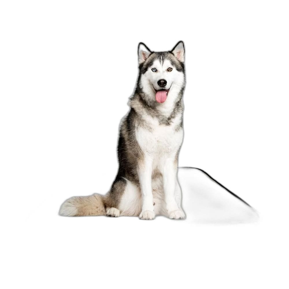 Banheiro Para Cachorro Móvel Lavável 4Un G 90X100Cm