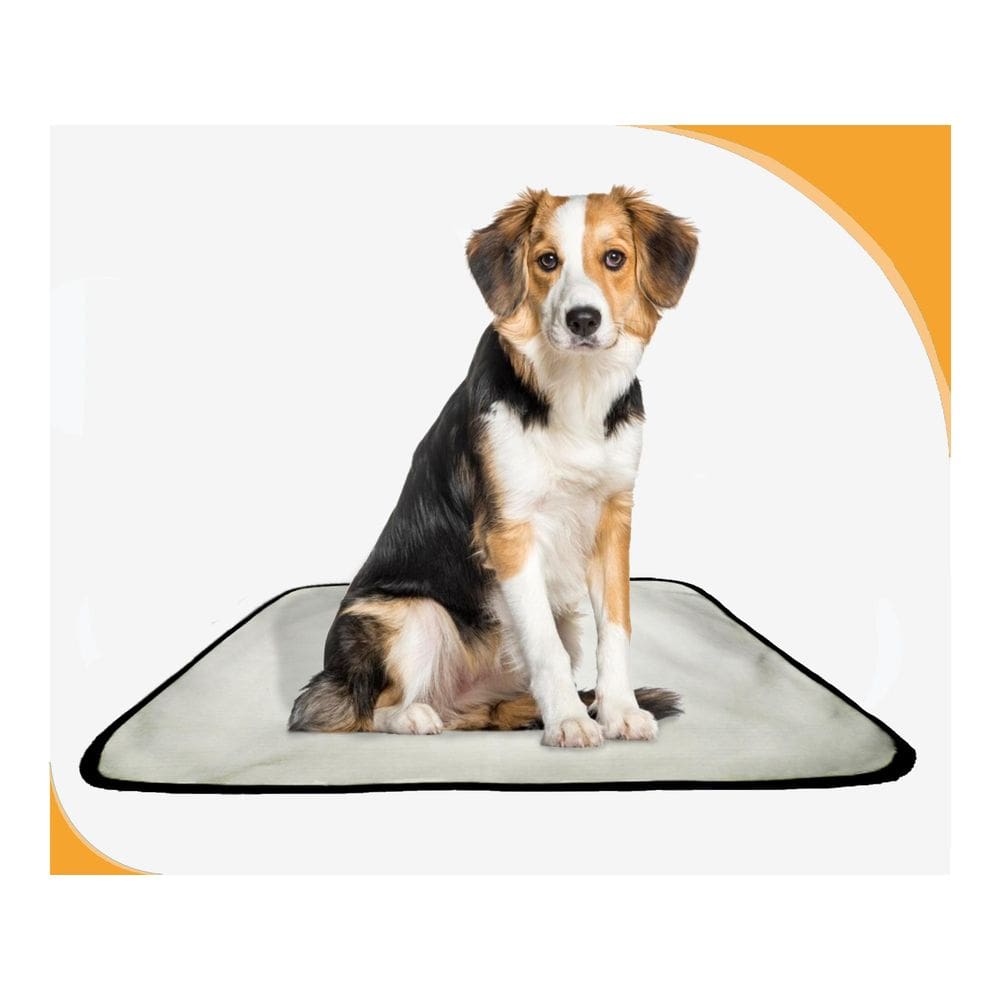 Tapete Lavável Dog Adestramento Higiênico 4Un M - 60X80 Cm