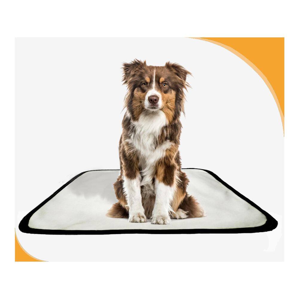 Tapete Canino Pet Prático Estratégico 1 Un P 50X60Cm