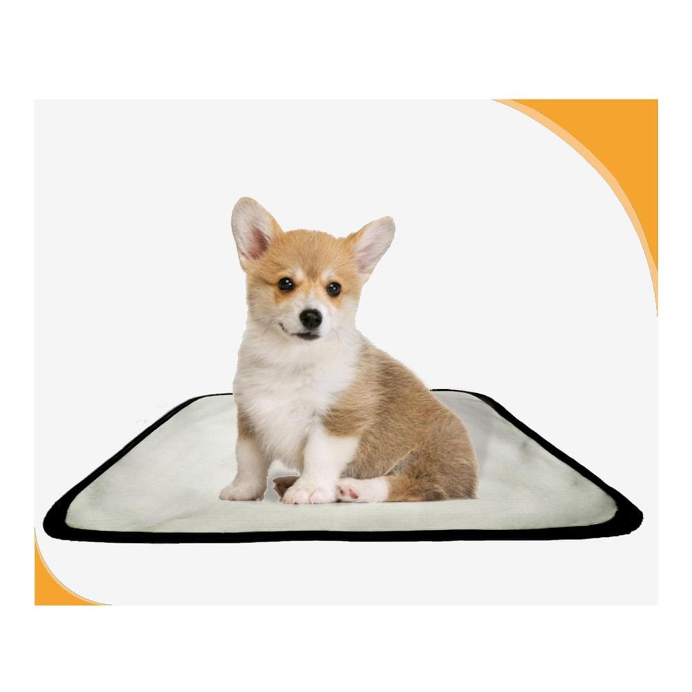 Tapete Para Adestramento Pet Reutilizável 1Un P 50X60 Cm