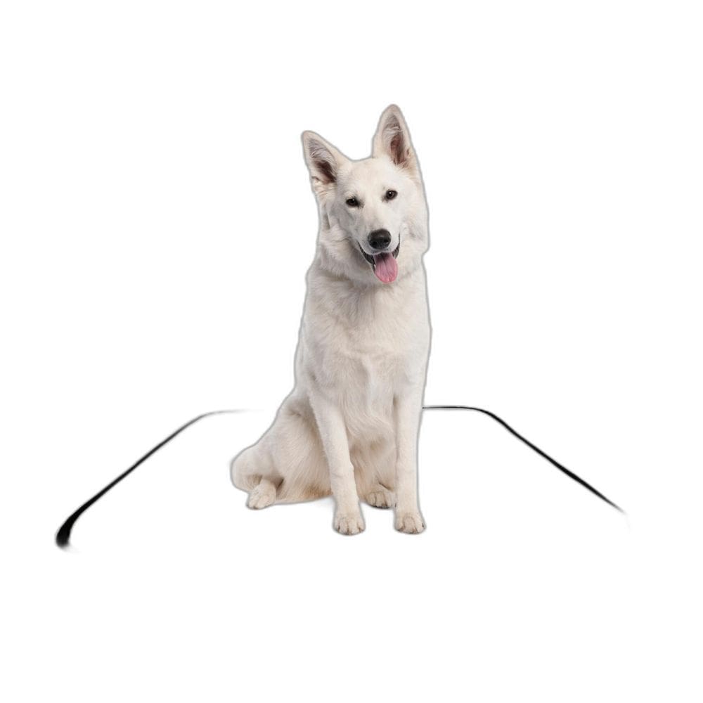 Tapete Para Pets Lavável Higiênico Prático 1 Un M- 60X80 Cm