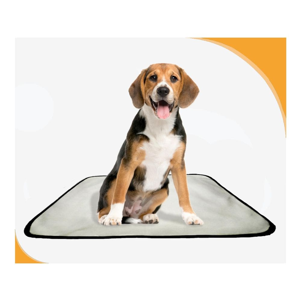 Tapete De Cuidados Para Cachorros - 1 Unidade M - 60X80 Cm