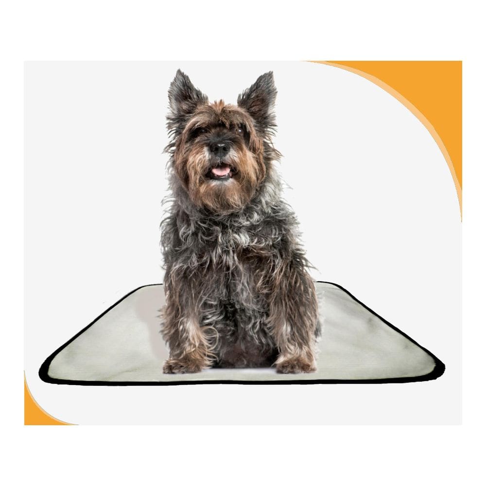 Tapete Higiênico Dog Adestramento 2 Unidade M - 60X80 Cm