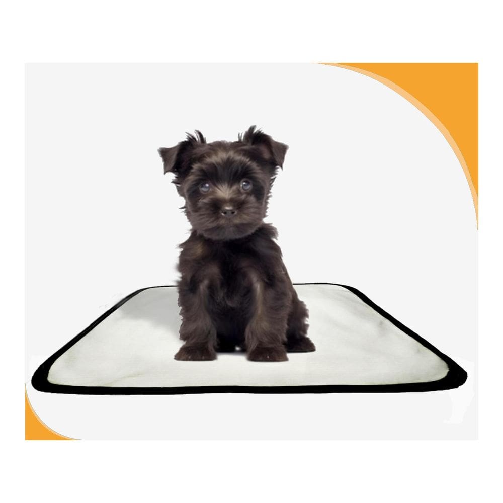 Tapete Para Cães Higiênico Ecológico 2 Un P 50X60Cm