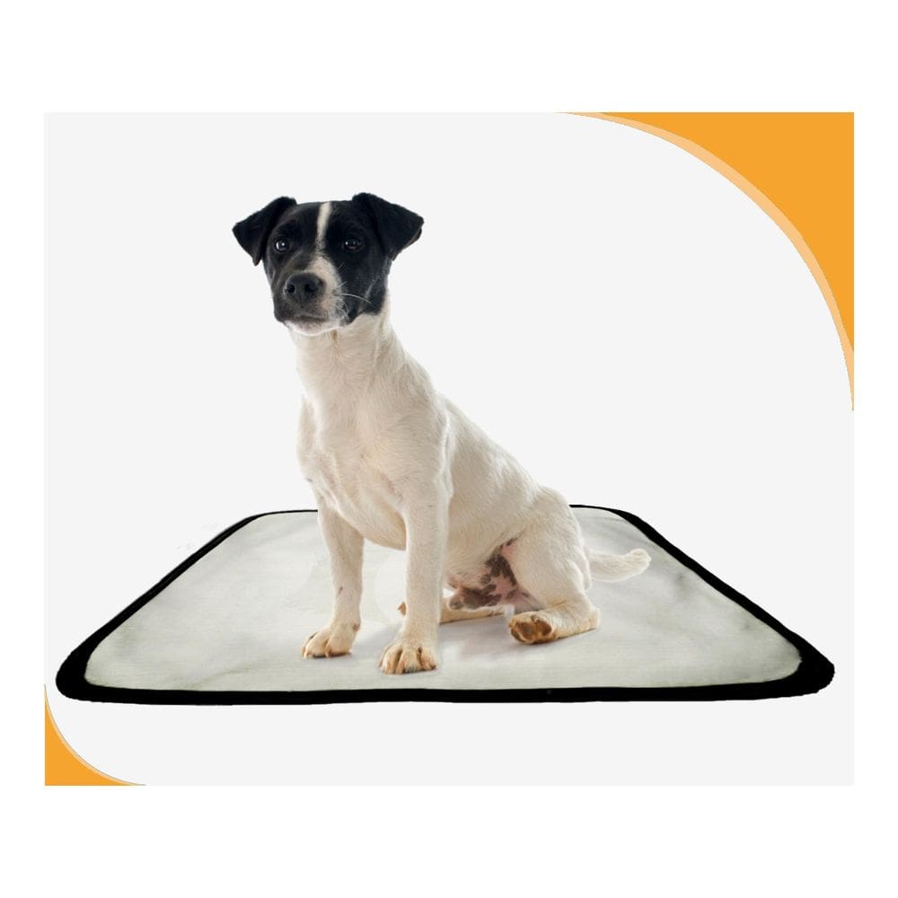 Tapete Dog Para Cães Lavável Absorvente 1 Un P - 50X60 Cm