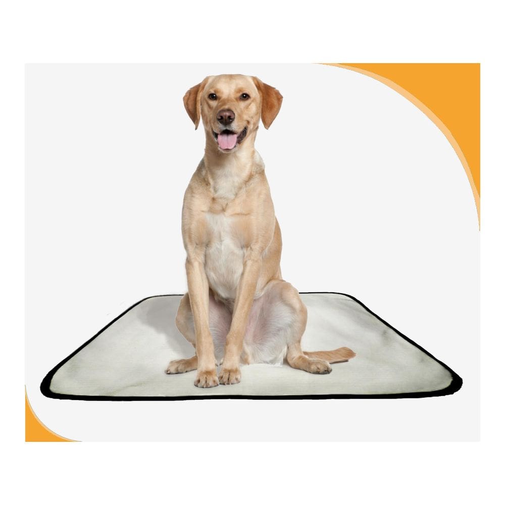 Fralda Móvel Pet Para Cachorros Lavável 5Un M 60X80 Cm