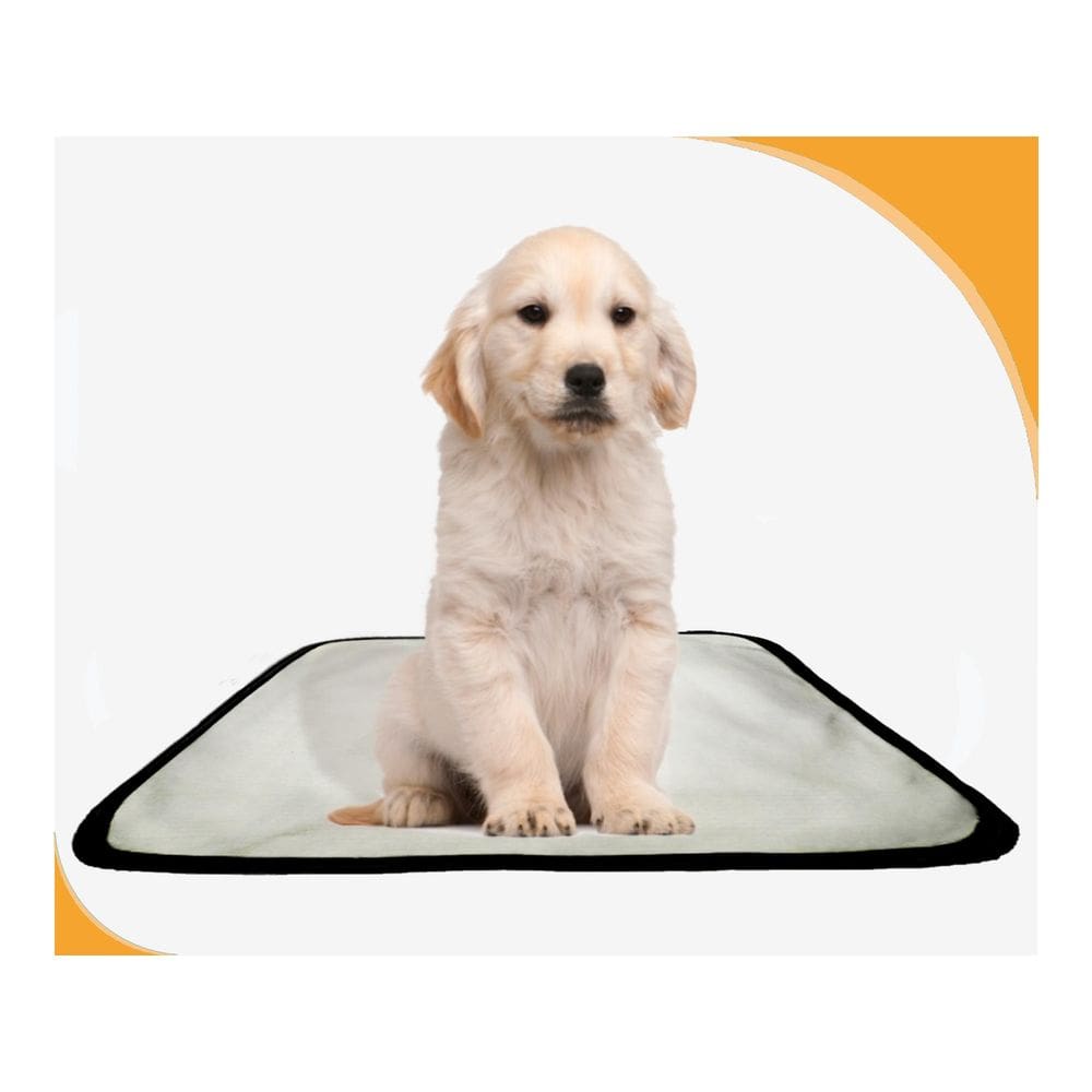 Tapete Canino Higiênico Lavável Pet 1 Un P - 50 X 60 Cm