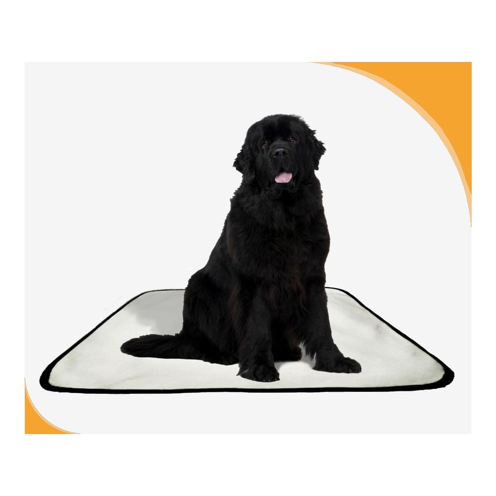 Tapete Para Pets Lavável Canino Prático 1 Un M - 60 X 80 Cm