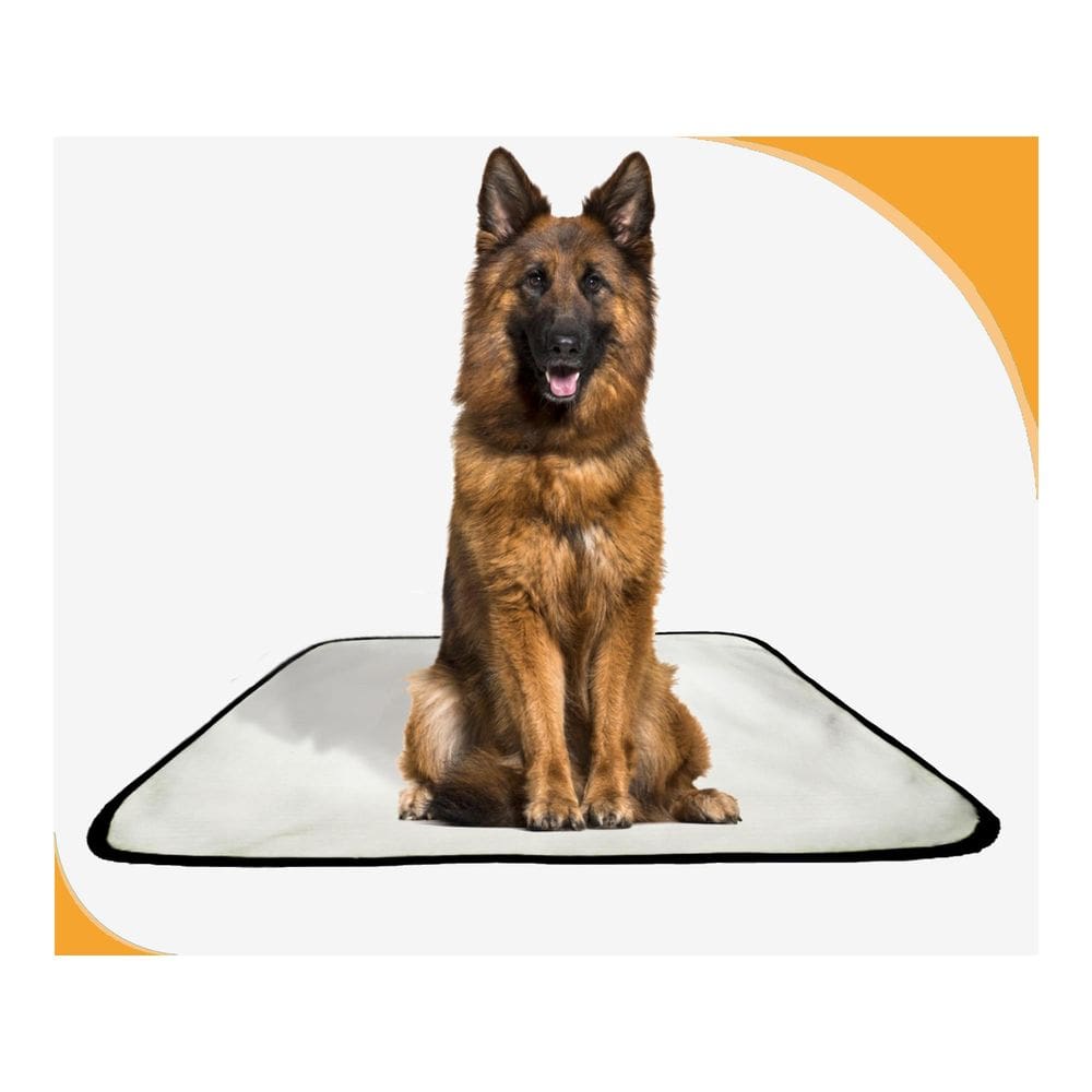 Tapete Pet Higiênico Prático Estratégico 2 Un G 90X100Cm