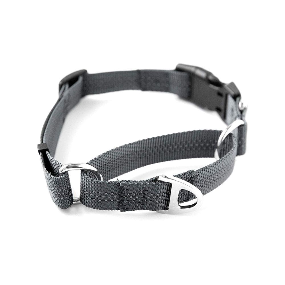 Coleira de treinamento Mighty Paw Martingale Nylon Grey para D grande