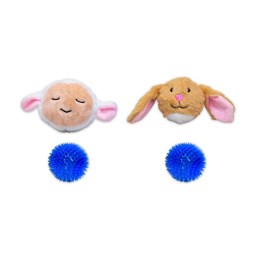 Brinquedos para mastigar para cães Flourish Pets 2 em 1, não tóxicos, sem BPA