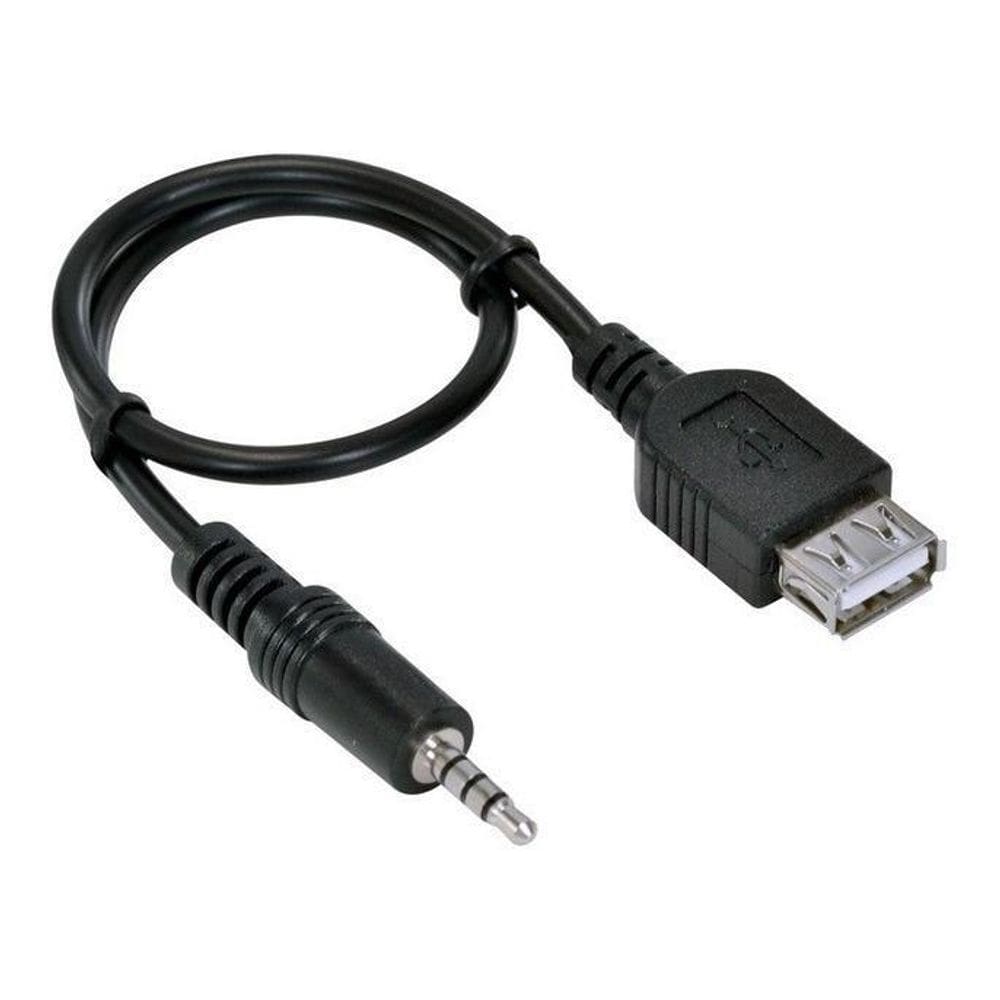 Cabo Usb Fêmea 3,5M X P2 Entrada Auxiliar Com 20 Cm