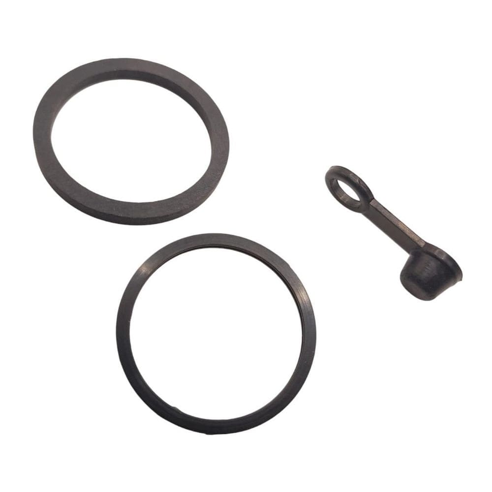 Reparo Caliper Pinça Freio Traseira Cbx750 Cb600F Hornet 08