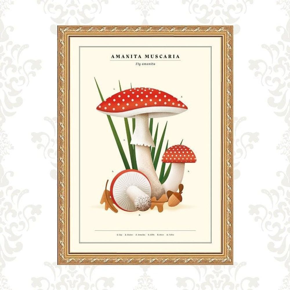 Quadro Moldura Dourada Cogumelos Vintage 45X34Cm
