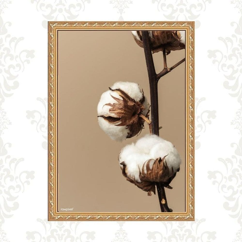 Quadro Moldura Dourada Flor De Algodão 24X18Cm