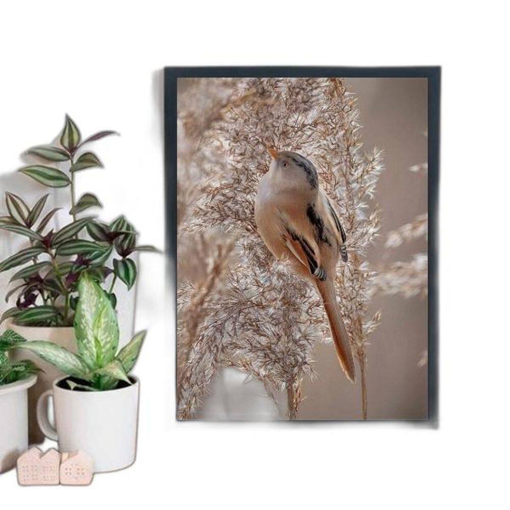 Quadro Fotografia Passarinho Fundo Nude 33X24 Madeira Preta
