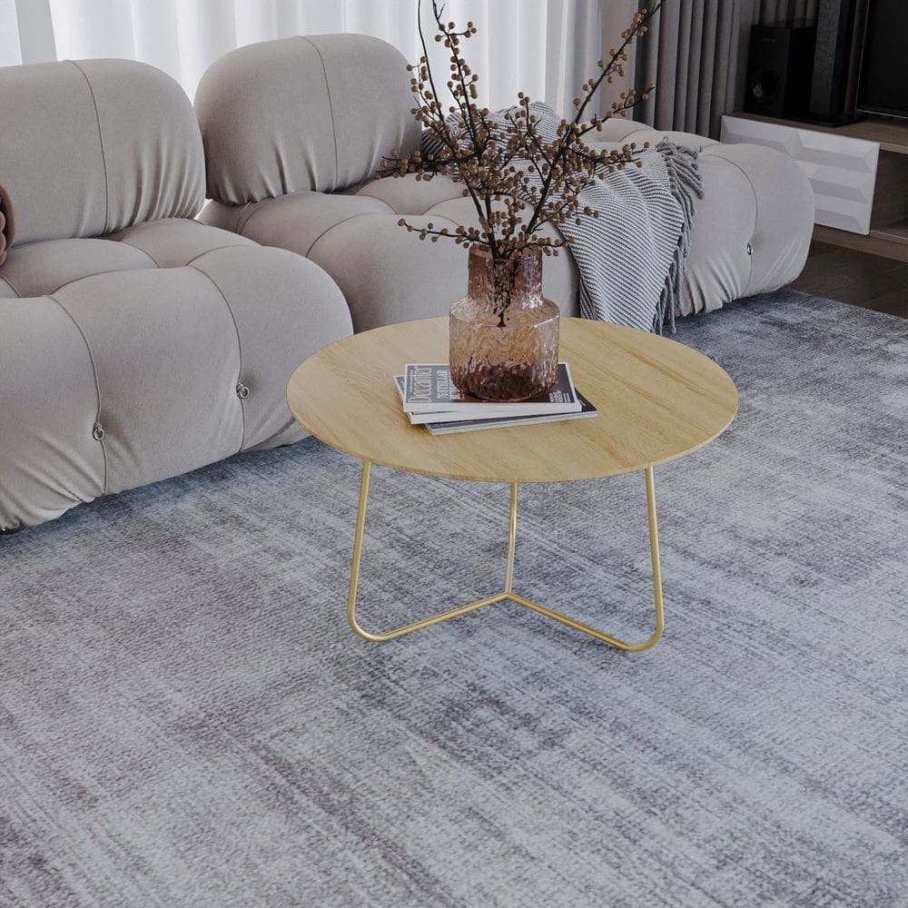 Mesa de Centro Trude Redonda 30cm X 67cm X 67cm Natural Tawary/ Dourado