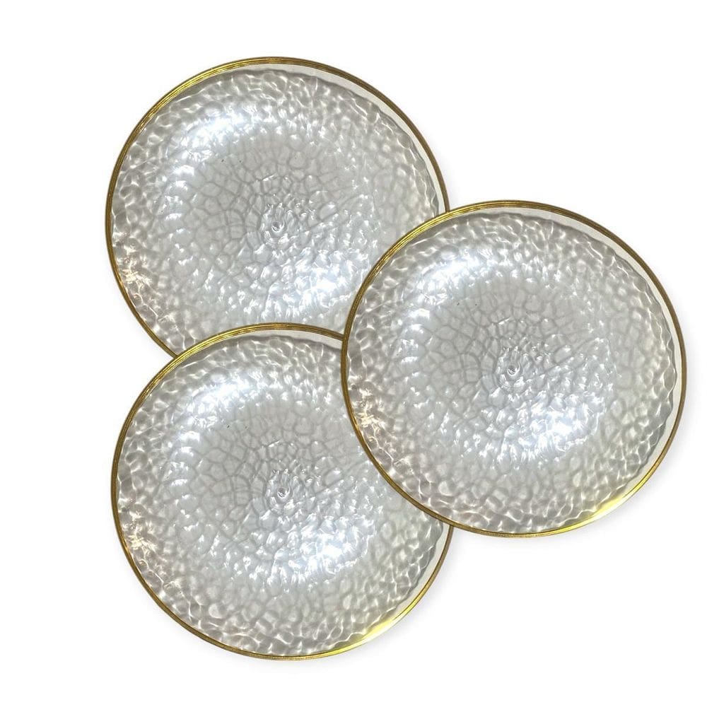 Kit 12 Pratos Jantar Redondo Acrílico Borda Dourada 25Cm