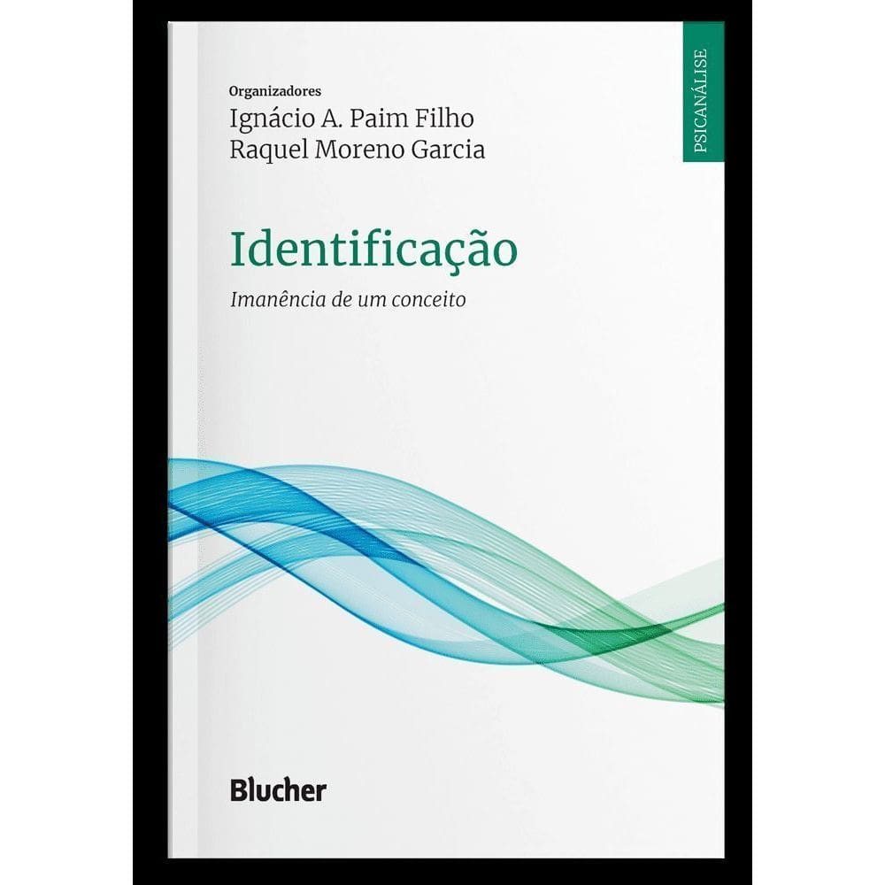 Identificação - Imanência de Um Conceito