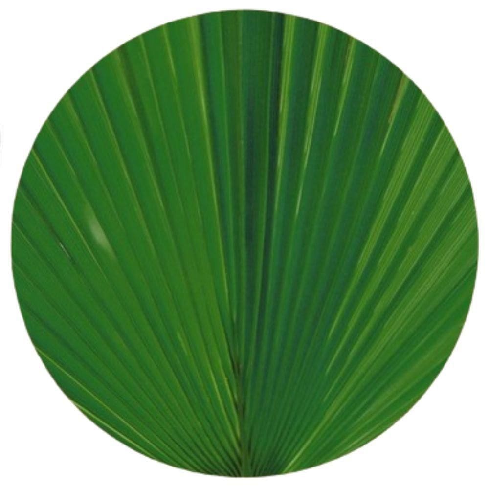 Sousplat Verde Folhagem Decorativa Mesa Posta Sala De Jantar