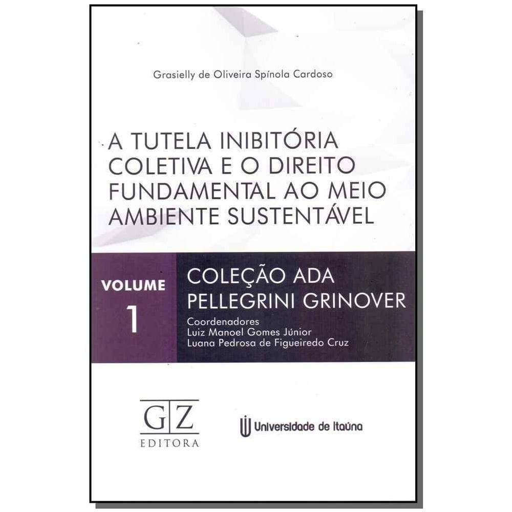 Tutela Inibitória Coletiva e o Direito Fundamental ao Meio Ambiente Sustentável, A