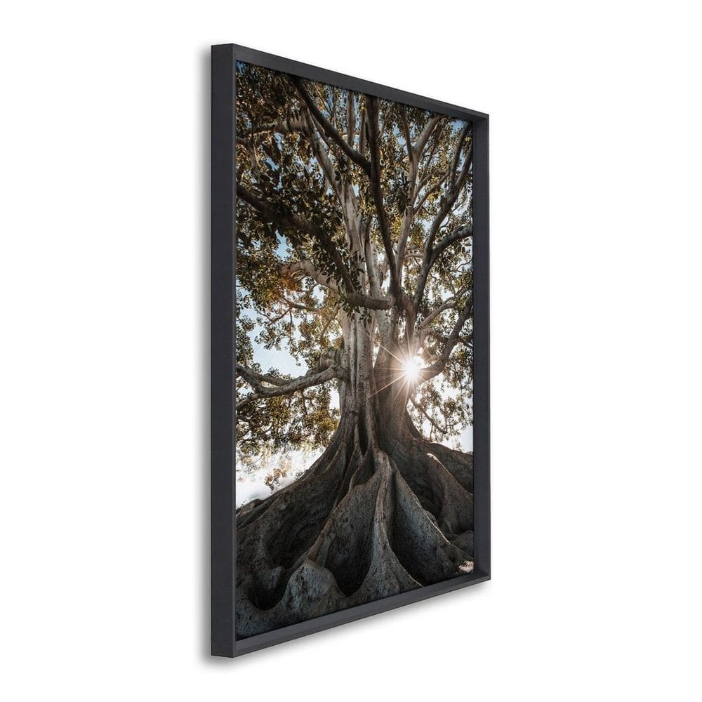 Quadro Decorativo Paisagem Árvore e Raios de Sol com 1 Tela Cm ou Cm de Parede para Escritório Banhe Preto