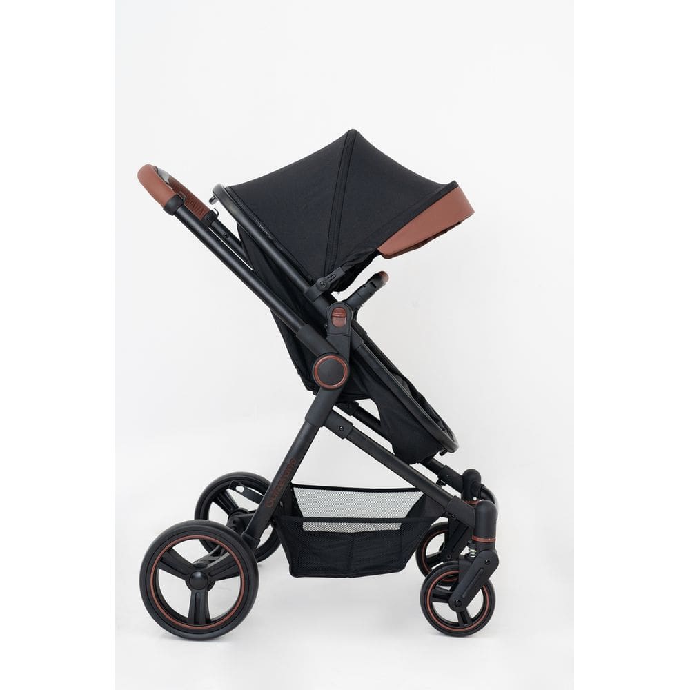 Carrinho de Passeio Galzerano Ivy 0 a 15kg com Cesto Moises